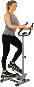 Fitness Twist Stepper Step Machine