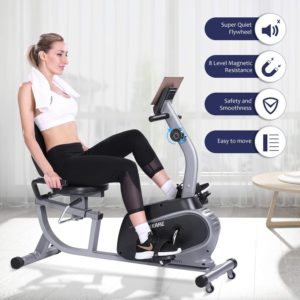 Recumbent Exercise Bike Indoor Cycling Stationary Bike