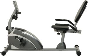 Extended Capacity Recumbent Bike