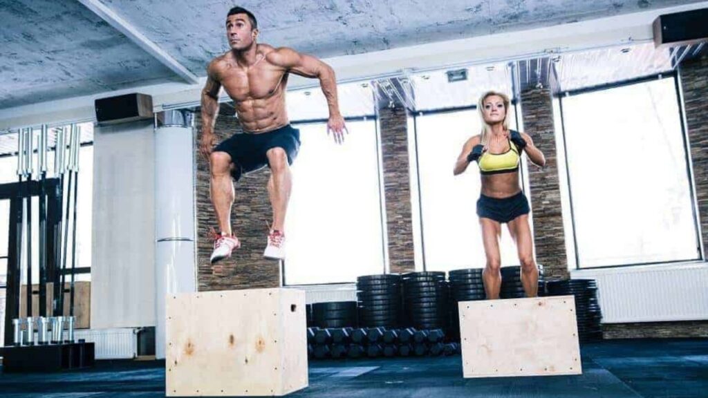 7 Best Plyo Boxes